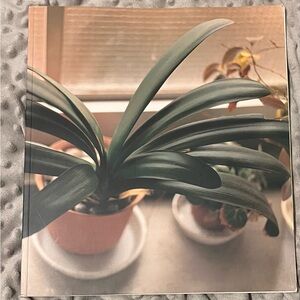 RARE!! MASAFUMI SANAI "IKITEIRU" PHOTOGRAPHY BOOK